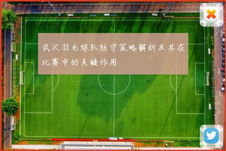 武汉羽毛球队防守策略解析及其在比赛中的关键作用