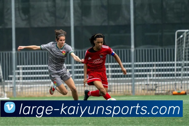 开云入口平台生态图