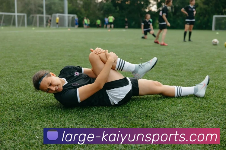 开云入口全站App